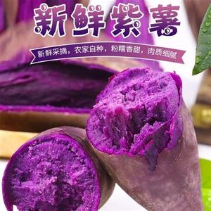 三生三世桃花故里生鲜湖北新鲜紫罗兰紫薯紫色番薯香甜粉糯红薯宝