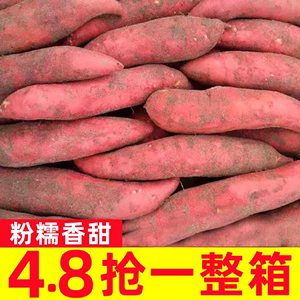 板栗红薯蜜薯10斤超甜新鲜地瓜沙地番薯粉糯包邮香薯自种山芋黄心
