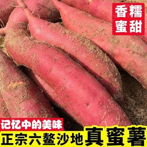 福建六鳌蜜薯新鲜红薯地瓜富晒沙地红心红蜜薯正宗漳浦原产地直发