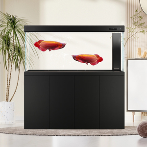 轻奢超白玻璃龙鱼缸客厅中大型智能底滤生态水族箱办公室养鱼造景