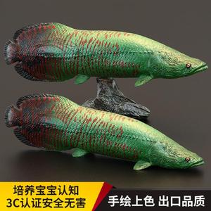 实心仿真动物模型玩具观赏鱼 大头巨骨舌鱼 海象鱼 军舰龙 摆件