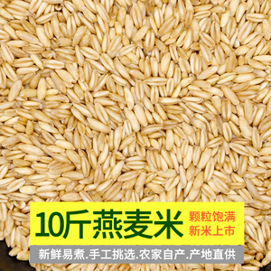 东北粗粮燕麦米10斤当季新米胚芽米生燕麦仁米去皮莜麦米仁莜麦粒