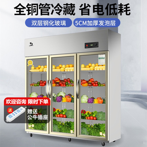安淇尔三门冷藏柜展示柜立式双门饮料柜串串柜保鲜冰柜商用大容量