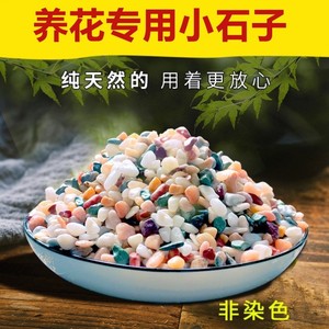 天然彩石多肉花盆铺面石花石头雨花石七彩色石子盆栽装饰鱼缸造景