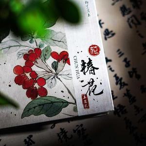 白糖杂货 花间集手帐本 中国风插画日记本高颜值本子古风笔记本