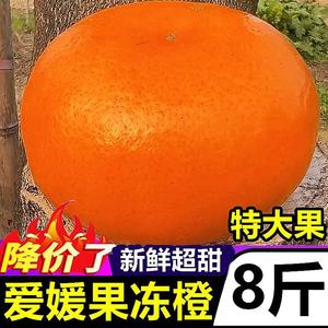 四川爱媛橙38号果冻橙 9斤应当季新鲜水果整箱 手剥橙甜大橙子
