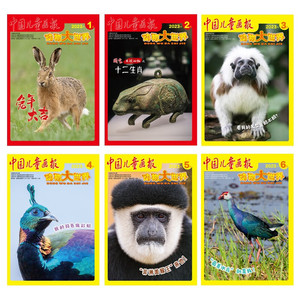 中国儿童画报动物大世界2023年1-6月半年过刊杂志