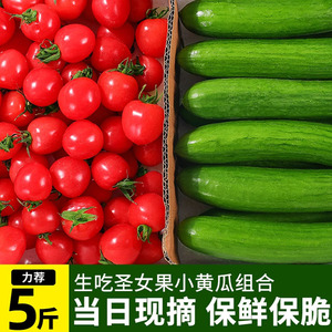 正宗荷兰水果黄瓜小番茄3-5斤组合新鲜西红柿圣女果新鲜千禧包邮