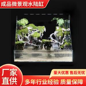 烟火水陆缸造景植物造景雨林缸乌龟两栖景观悬浮景观斜口玻璃缸