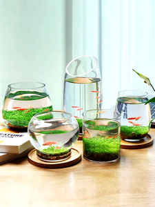 生态瓶水草缸鱼缸玻璃微景缸办公桌面创意造景观鱼缸真水草种子