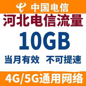 河北电信流量充值 10G全国通用流量包4G5G网络 不可提速 当月有效