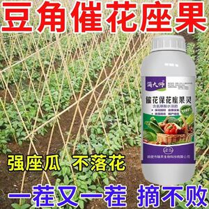 豆角授粉座果精豆角授粉花娘子豆角专用保花保果灵催花促花防落素