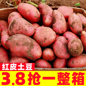 红皮土豆新鲜10斤马铃薯应季蔬菜云南农家特产红皮小洋芋黄心土豆