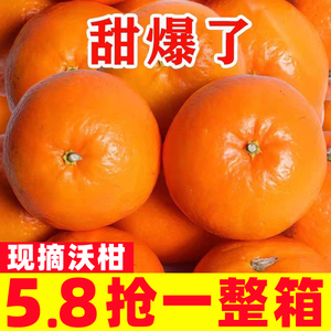 纯甜沃柑10斤橘子新鲜水果当季整箱广西沙糖蜜桔柑橘子皇帝桔子5