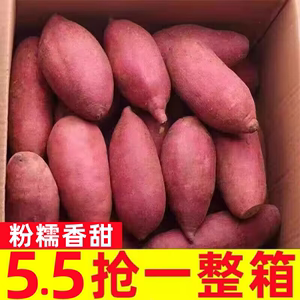 新鲜蜜薯10斤板栗红薯农家自种西瓜红糖心沙地红心番薯地瓜整箱