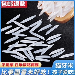 2023年新米猫牙米晚稻香米超长粒大米丝苗10斤煲仔饭米蛋炒饭粥米