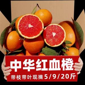 正宗血橙新鲜水果橙子中华红湖北秭归宜昌卡拉红肉红心整箱10斤装