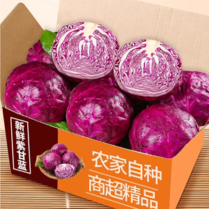 新鲜紫甘蓝5斤紫包菜紫色球生菜红椰菜西餐蔬菜轻食沙拉食材