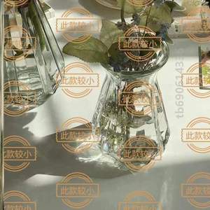 的水养花瓶造型瓶银银柳专用花瓶花盆摆,柳枝独特高颜值干富贵竹
