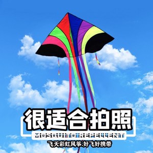 风筝2022年新款 特技风筝大人专用 特技风筝双线特技运动风筝初学