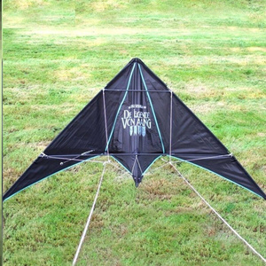 竞技风筝双线特技风筝运动人专用新款微风易飞放飞大三角竞技运动