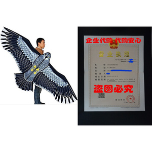 Hengda Kite-Strong Eagles!Huge beginner eagle kites for Kid