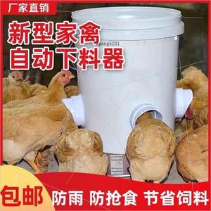 鸡鸭鹅全自动喂食器喂料桶鸡自动下料器家禽用料槽食槽重力喂食器