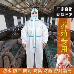 养猪场规模场散户非瘟防护服生物安全防护服