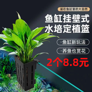 鱼缸水培植物蓝定植篮壁挂式水草种植杯鱼缸造景装饰绿萝固定神器