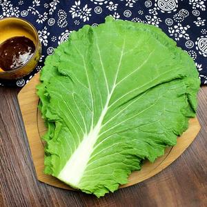 东北农家白菜叶子蔬菜包饭包新鲜绿色大白菜叶蘸酱菜现摘现发20叶