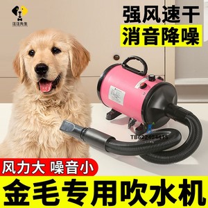 金毛专用狗狗吹水机家用大型犬吹风机宠物洗澡烘干神器大狗电吹风