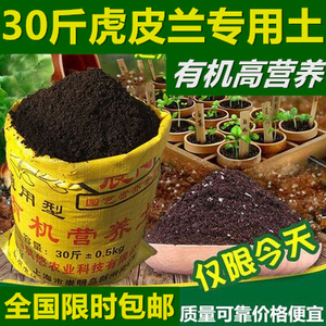 虎皮兰专用营养土有机种菜土壤多肉绿萝草炭土通用型花土泥土肥料