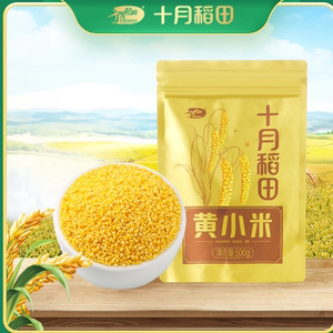 2023年新米十月稻田黄小米2斤香糯粗杂粮小米香浓郁米油醇厚