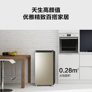 海尔冰柜家用立式小型冷冻柜迷你102L升抽屉式母乳冰箱 BD-102DMG