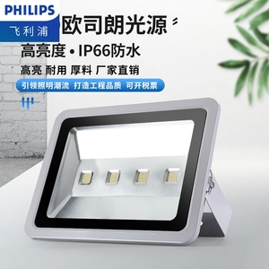 Philips/飞利浦LED户外防水投光灯300瓦500W广场照明灯厂房泛光灯