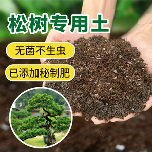 松树专用土营养土五针松罗汉松黑松黄山松盆栽土盆景通用肥料花土