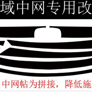 适用于16-20款十代思域改装改色膜中网贴纸拉花前杠镀铬条车贴纸