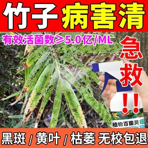 竹子专用肥料叶子发黄黑斑病卷叶掉叶米竹小叶簕竹子类专用营养液
