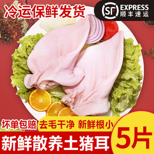 【顺丰】散养猪耳朵5斤新鲜肥猪耳冷冻生猪耳片带根整片卤菜商用3