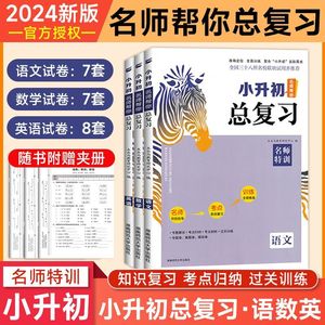 2024版木头马小升初总复习语文数学英语 名师测控资料模拟试卷小学语文知识大全盘点招生分班真题卷星空分类卷小升初人教版必刷题