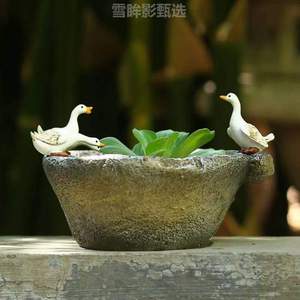 花园装饰品创意摆件草水培石臼茶桌小白植物庭院可爱铜钱花盆鸭子