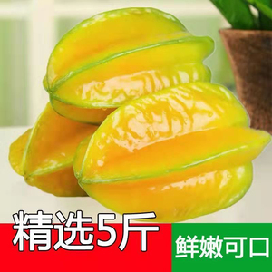 福建漳州甜杨桃树上熟甜5斤整箱洋桃应当季新鲜水果红扬桃五角星