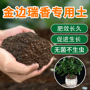 金边瑞香专用土室内养花通用型营养土多肉盆栽培植土有机土壤肥料
