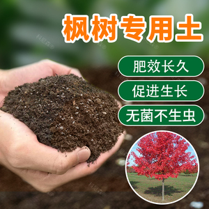 枫树专用土种花泥土红枫专用土肥料营养土种树通用专用种植土壤