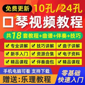 口琴自学视频教程教学教材零基础入门到精通十孔24孔布鲁斯半音阶