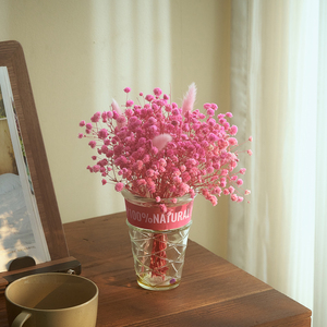 满天星花束干花带花瓶家居ins风装饰真花天然风干客厅鲜花摆件