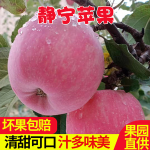 静宁红富士苹果水果新鲜脆甜整箱应季甘肃平凉冰糖心丑苹果现摘