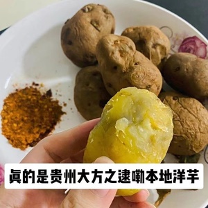 贵州云南昭通巧家干巴洋芋去往年皱皮黑心黄心米拉洋芋发带芽土豆