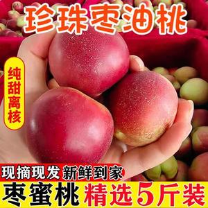 珍珠枣油桃脆甜枣味新鲜小桃子5斤孕妇水果早桃纯甜新鲜枣桃