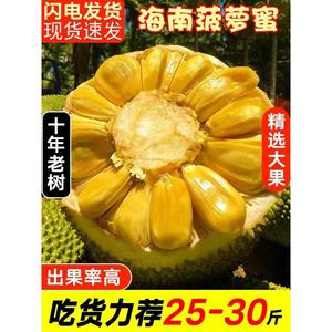 海南三亚万宁老树黄肉菠萝蜜一整个当季现摘新鲜水果整箱10-40斤